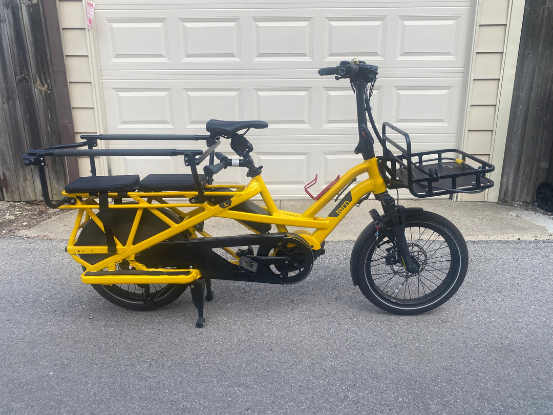 SOLD / Yellow Tern GSD S10