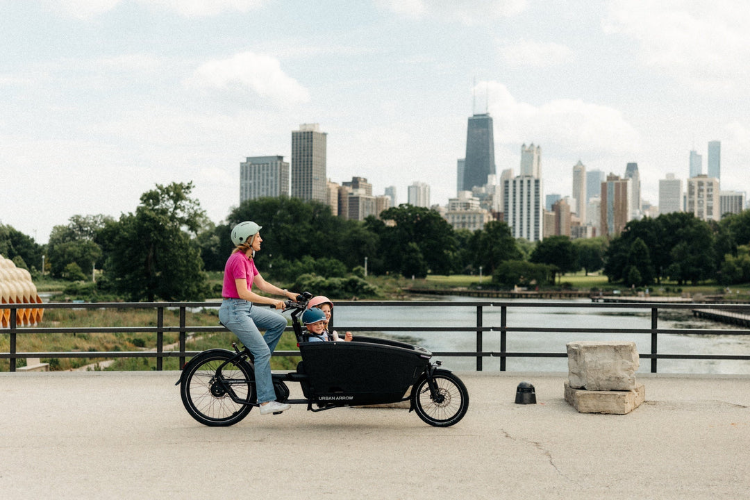 Urban Arrow FamilyNext