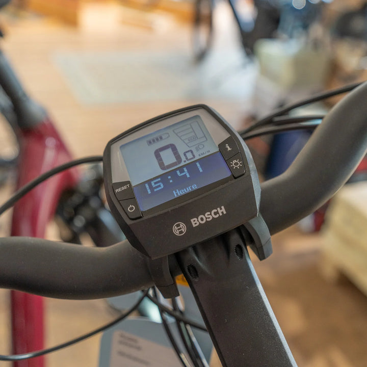 Bosch Intuvia Display