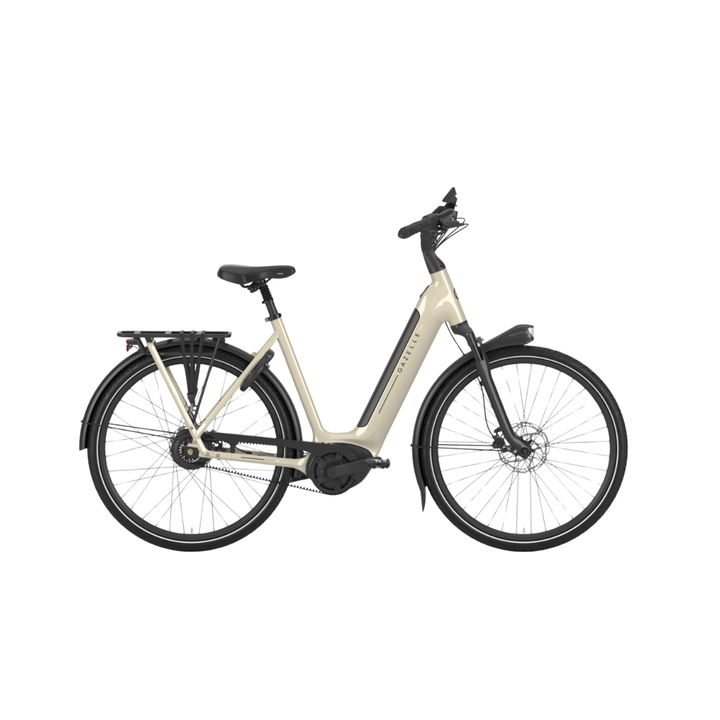 Gazelle Arroyo C380 Elite