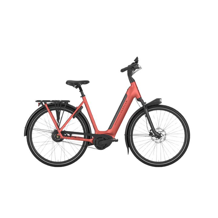 Gazelle Arroyo C380 Elite